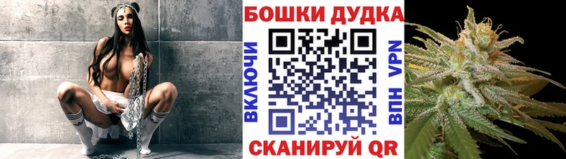Шишки марихуана гибрид  Жуков 